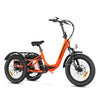 Citytan M-315 Folding eTrike