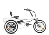 Arisetan II M-360 Mini Semi-Recumbent eTrike