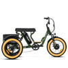 Soletri M-366X Full-Suspension eTrike