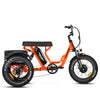 Soletri M-366X Full-Suspension eTrike