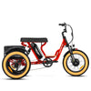 Soletri M-366X Full-Suspension eTrike