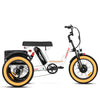 Soletri M-366X Full-Suspension eTrike