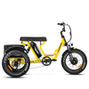 Soletri M-366X Full-Suspension eTrike
