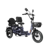 Meet One Pair Electric Trike with Passenger Seat