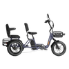Meet One Pair Electric Trike with Passenger Seat