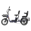 Meet One Pair Electric Trike with Passenger Seat