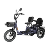 Meet One Pair Electric Trike with Passenger Seat