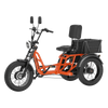 Meet One Tour 2.0 Dual Motor Dual Battery Electric Trike