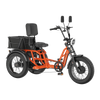 Meet One Tour 2.0 Dual Motor Dual Battery Electric Trike