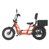 Meet One Tour 2.0 Dual Motor Dual Battery Electric Trike