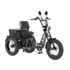 Meet OneTour Lite Full Suspension Electric Trike