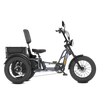 Meet OneTour Lite Full Suspension Electric Trike