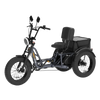 Meet OneTour Lite Full Suspension Electric Trike