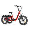 Citytan M-315 Folding eTrike